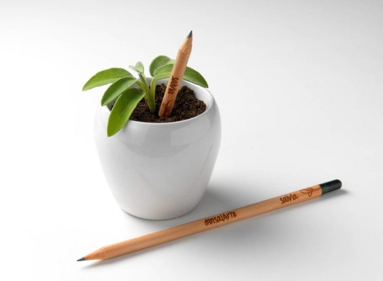 guerrilla marketing-matita Sprout